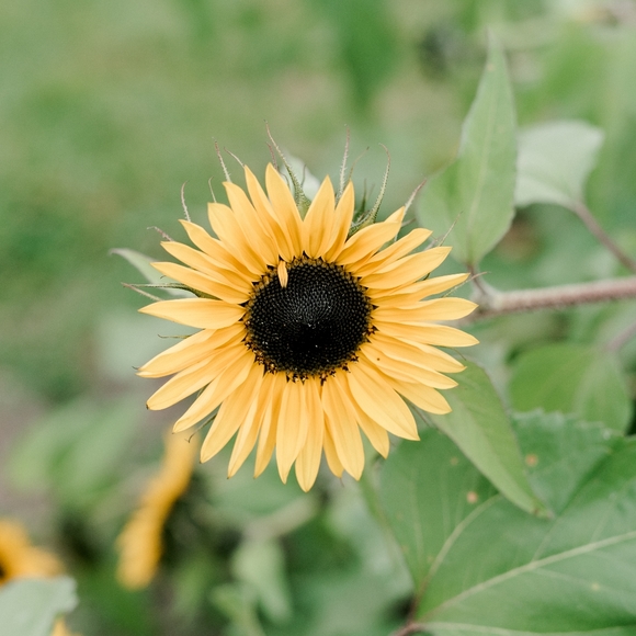 Meet your Posher, Jenna lee - Picture 2 of 4